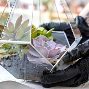 نگهداری_از_تراریوم